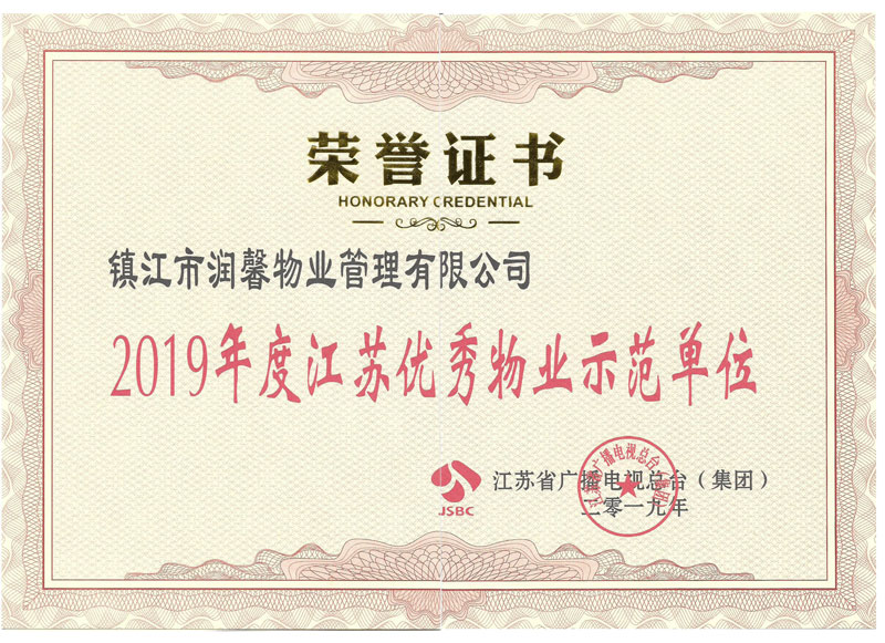 2019电视台荣誉
