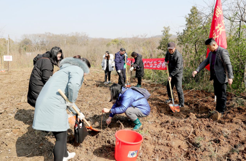 润馨物业工会积极参与润州区总工会组织的“职工聚力心向党 共建工会生态林”活动