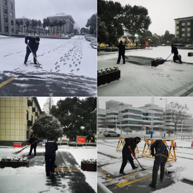 以雪为令，向暖而行